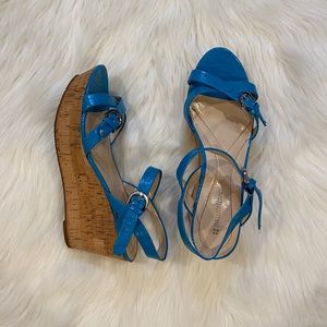 BLUE WEDGES
